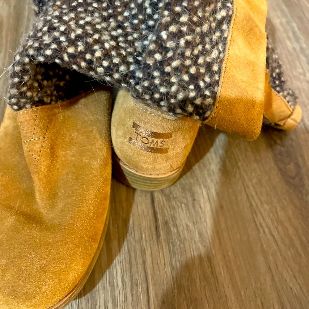 TOMS
